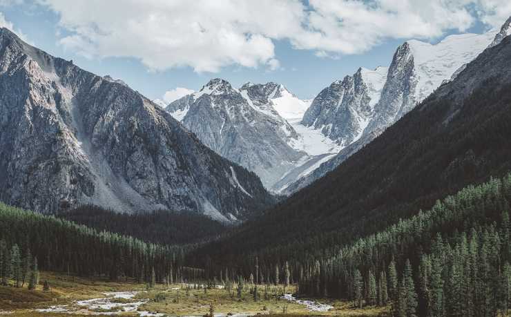 罗德里格斯J罗2026世界杯能否出战?年龄与状态成关键 罗德里格斯J罗2026世界杯能否出战?年龄与状态成关键